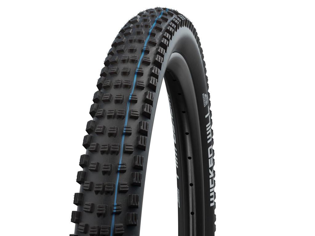 Schwalbe Wicked Will 29