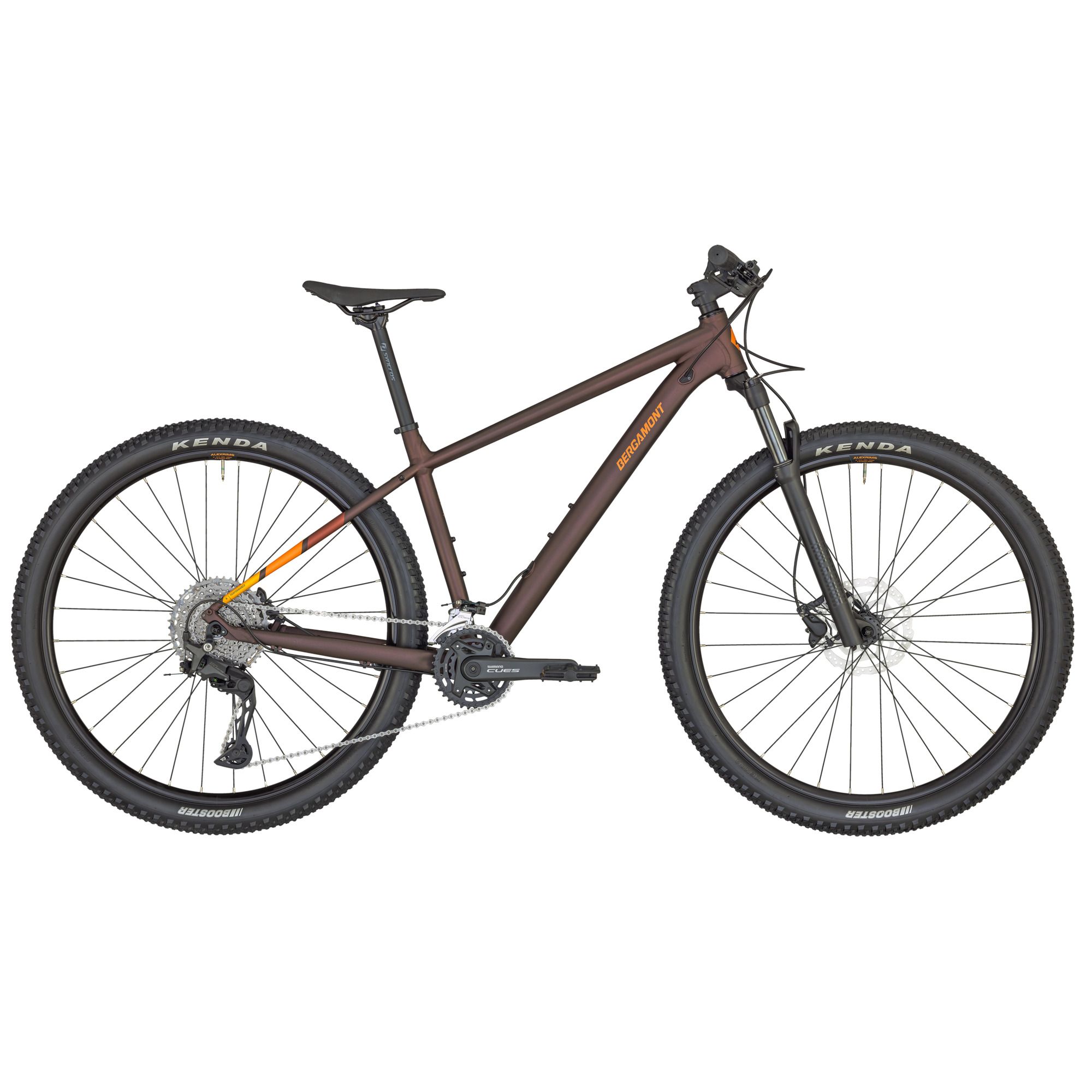 Bergamont Revox 7 29