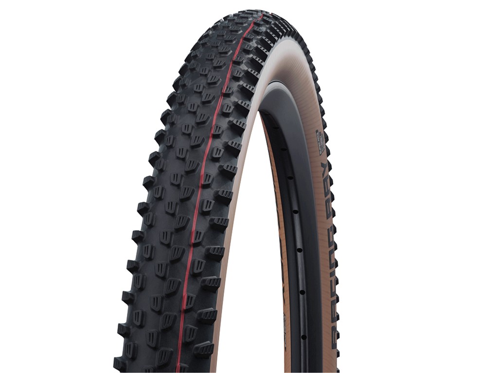 Schwalbe Racing Ray 29